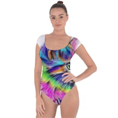 Rainbowcat Short Sleeve Leotard  by Sparkle