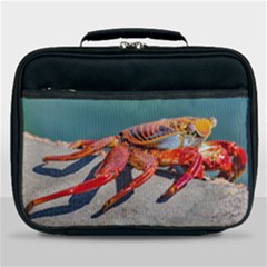 Colored Crab, Galapagos Island, Ecuador Lunch Bag by dflcprintsclothing