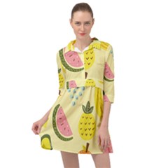 Fruit Mini Skater Shirt Dress by HermanTelo