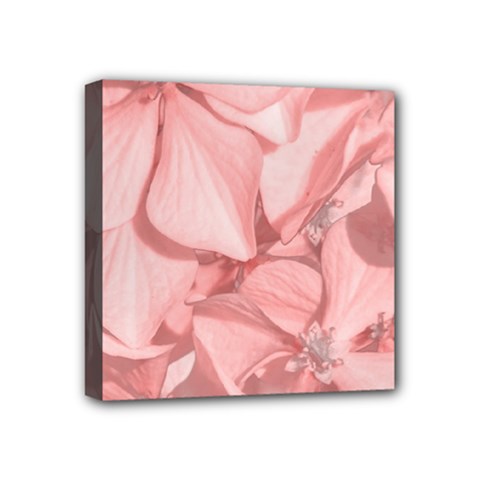 Coral Colored Hortensias Floral Photo Mini Canvas 4  X 4  (stretched) by dflcprintsclothing