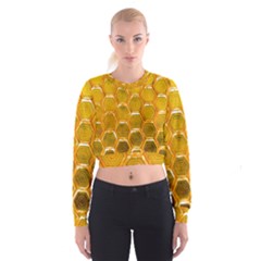 Hexagon Windows Cropped Sweatshirt by essentialimage