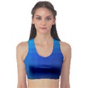 Zappwaits Water Sports Bra View1