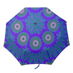 Bluebelle Folding Umbrellas by LW323
