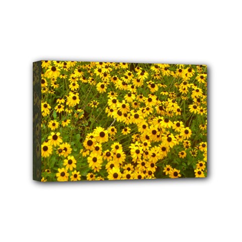 Daisy May Mini Canvas 6  X 4  (stretched) by LW323