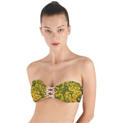 Daisy May Twist Bandeau Bikini Top by LW323