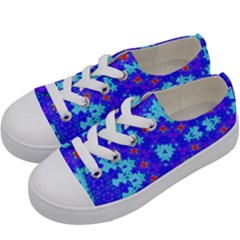 Blueberry Kids  Low Top Canvas Sneakers by LW323