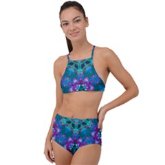 Peacock2 High Waist Tankini Set by LW323