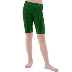 Freshspring3 Kids  Mid Length Swim Shorts by LW323