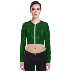 Freshspring3 Long Sleeve Zip Up Bomber Jacket by LW323