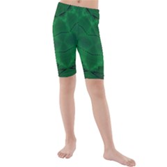 Freshspring1 Kids  Mid Length Swim Shorts by LW323