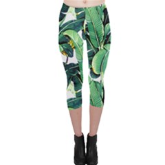 Banana Leaves Capri Leggings  by goljakoff