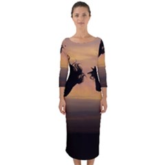 Evening Horses Quarter Sleeve Midi Bodycon Dress by LW323