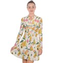 Yellow Juicy Pears And Apricots Long Sleeve Panel Dress View1