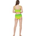 Blue Butterflies at yellow and green, two color tone gradient Frilly Bikini Set View2