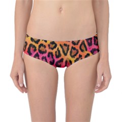 Leopard Print Classic Bikini Bottoms by skindeep