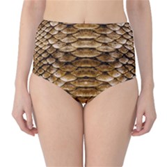 Reptile Skin Pattern 11 Classic High-waist Bikini Bottoms by skindeep