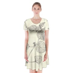 Lemon Balm Short Sleeve V-neck Flare Dress by Limerence