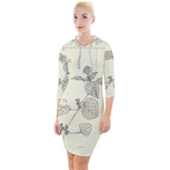 Lemon Balm Quarter Sleeve Hood Bodycon Dress by Limerence