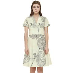 Lemon Balm Short Sleeve Waist Detail Dress by Limerence