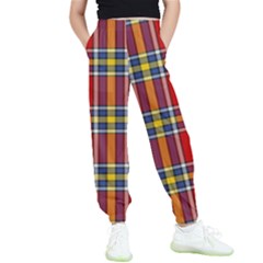 Tartan Pattern 40 Kids  Elastic Waist Pants by tartantotartansreddesign