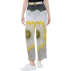 Lemon Sorbet Women s Pants  by thedaffodilstore