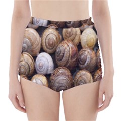 Snail Shells Pattern Arianta Arbustorum High-waisted Bikini Bottoms by artworkshop