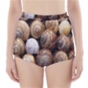 Snail Shells Pattern Arianta Arbustorum High-Waisted Bikini Bottoms View1