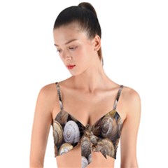 Snail Shells Pattern Arianta Arbustorum Woven Tie Front Bralet by artworkshop