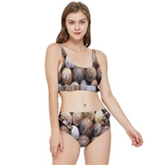 Snail Shells Pattern Arianta Arbustorum Frilly Bikini Set by artworkshop