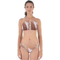 Horse Coat Animal Equine Perfectly Cut Out Bikini Set by artworkshop