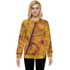 Leaf Leaf Veins Fall Hidden Pocket Sweatshirt by artworkshop