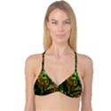 Chameleon Reptile Lizard Animal Reversible Tri Bikini Top View1