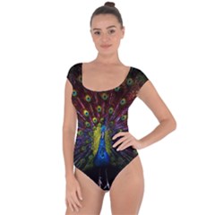 Beautiful Peacock Feather Short Sleeve Leotard  by Jancukart