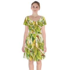 Pear Fruit Tree Organic Pattern Short Sleeve Bardot Dress by Wegoenart