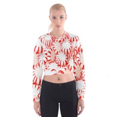 Candy Cropped Sweatshirt by artworkshop