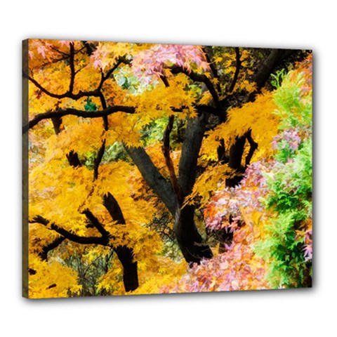 Japan Garden Color Tree Zen Canvas 24  X 20  (stretched) by Wegoenart