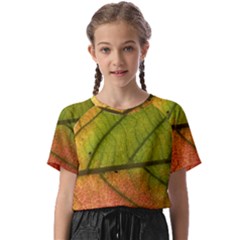 Leaf Autumn Fall Season Macro Kids  Basic Tee by Wegoenart