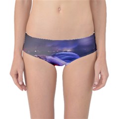 Betta Fish Photo And Wallpaper Cute Betta Fish Pictures Classic Bikini Bottoms by StoreofSuccess