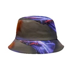 Betta Fish Photo And Wallpaper Cute Betta Fish Pictures Inside Out Bucket Hat by StoreofSuccess