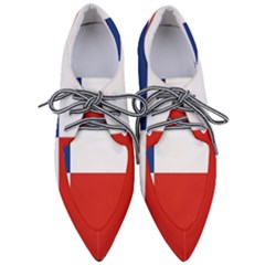 Banskobystricky Flag Pointed Oxford Shoes by tony4urban