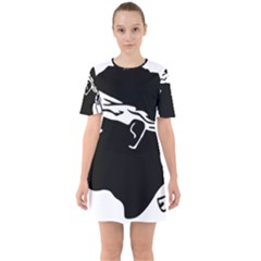 Corsica Flag Sixties Short Sleeve Mini Dress by tony4urban