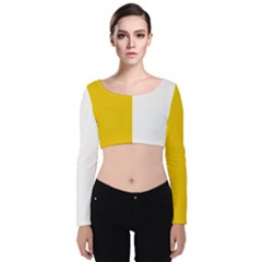 Antrim Flag Velvet Long Sleeve Crop Top by tony4urban