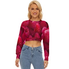 Raspberries Lightweight Long Sleeve Sweatshirt by artworkshop