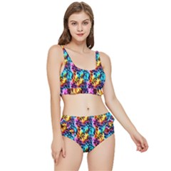Rainbow Leopard 2 Frilly Bikini Set by DinkovaArt