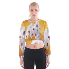 Boards Decoration Flower Flower Room Cropped Sweatshirt by artworkshop