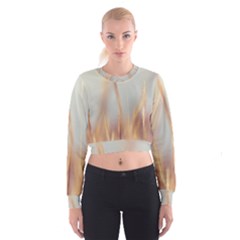 Nature Plants Color Cropped Sweatshirt by artworkshop