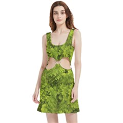 Botanical Motif Plants Detail Photography Velour Cutout Dress by dflcprintsclothing