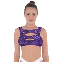 Purple Scales! Bandaged Up Bikini Top by fructosebat