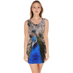 Peacock Bird Animal Feather Nature Colorful Bodycon Dress by Ravend