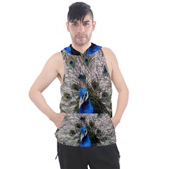 Peacock Bird Animal Feather Nature Colorful Men s Sleeveless Hoodie by Ravend